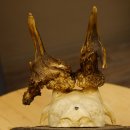 Rehgeweih abnormes Reh Geweih Gehörn Rehbock Trophäe auf geschnitztem Trophäenschild 606.146