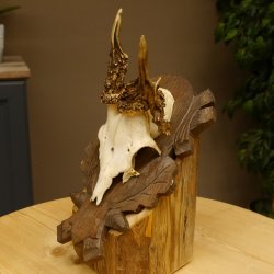 Rehgeweih abnormes Reh Geweih Gehörn Rehbock Trophäe auf geschnitztem Trophäenschild 606.146