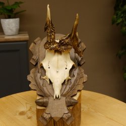 Rehgeweih abnormes Reh Geweih Gehörn Rehbock Trophäe auf geschnitztem Trophäenschild 606.146