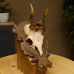 Rehgeweih abnormes Reh Geweih Gehörn Rehbock Trophäe auf geschnitztem Trophäenschild 606.146