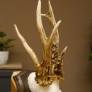 Rehgeweih abnormes Reh reiche Perlung Gehörn Bock Rehgehörn Geweih Schild 609.96