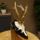 Rehgeweih abnormes Reh ungerader 8 ender Gehörn Bock Rehgehörn Geweih Schild 609.98