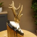 Rehgeweih abnormes Reh ungerader 8 ender Gehörn Bock Rehgehörn Geweih Schild 609.98