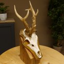 Rehgeweih abnormes Reh Gehörn Bock Rehgehörn Geweih Schild 609.101