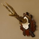 Rehgeweih abnormes Reh HL bis 23,8 cm, RU 14,8 cm Gehörn Bock Rehgehörn Geweih Schild 609.102