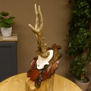 Rehgeweih abnormes Reh HL bis 23,8 cm, RU 14,8 cm Gehörn Bock Rehgehörn Geweih Schild 609.102