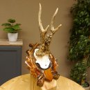 Rehgeweih abnormes Reh HL bis 23,8 cm, RU 14,8 cm Gehörn Bock Rehgehörn Geweih Schild 609.102