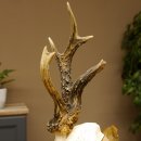 Rehbock abnormes Reh Bock Geweih Rehgeweih auf Trophäenschild 608.133