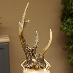 Rehbock abnormes Reh Bock Geweih Rehgeweih auf Trophäenschild 608.133