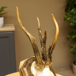 Rehbock abnormes Reh Bock Geweih Rehgeweih auf Trophäenschild 608.137