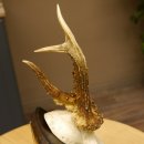 Rehbock abnormes Reh Bock Geweih Rehgeweih auf Trophäenschild 608.138