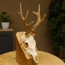 Rehbock abnormes Reh mit ganzer Nase Bock Geweih...