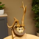 Rehbock abnormes Reh Bock Geweih Rehgeweih auf...