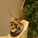 Rehbock abnormes Reh Bock Geweih Rehgeweih auf Trophäenschild 608.146