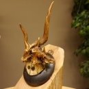 Rehbock abnormes Reh Bock Geweih Rehgeweih auf Trophäenschild 608.146