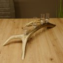 Schnapsanbieter 4x kleine Gläser Steckglas mit Stiel...