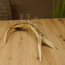 Schnapsanbieter 4x kleine Gläser Steckglas mit Stiel auf Rothirschstange Geschenk 27.60.2.49