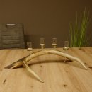 Schnapsanbieter 4x kleine Gläser Steckglas mit Stiel auf Rothirschstange Geschenk 27.60.2.49