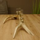 Schnapsanbieter 4x kleine Gläser Steckglas mit Stiel auf Rothirschstange Geschenk 27.60.2.49