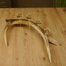 Schnapsanbieter 4x kleine Gläser Steckglas mit Stiel auf Rothirschstange Geschenk 27.60.2.49