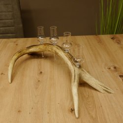 Schnapsanbieter 4x kleine Gläser Steckglas mit Stiel auf Rothirschstange Geschenk 27.60.2.49