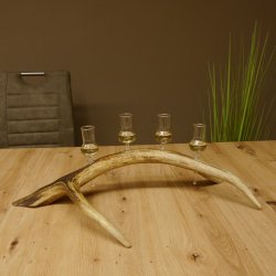 Schnapsanbieter 4x kleine Gläser Steckglas mit Stiel auf Rothirschstange Geschenk 27.60.2.49