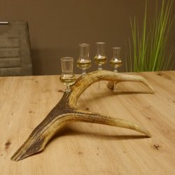 Schnapsanbieter 4x kleine Gläser Steckglas mit Stiel auf Rothirschstange Geschenk 27.60.2.49