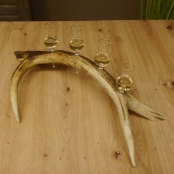 Schnapsanbieter 4x kleine Gläser Steckglas mit Stiel auf Rothirschstange Geschenk 27.60.2.49