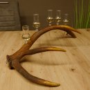 Schnapsanbieter 5x kleine Gläser Steckglas mit Stiel...