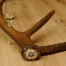 Schnapsanbieter 5x kleine Gläser Steckglas mit Stiel auf Rothirschstange Edelweiss Verzierung 27.60.2.50