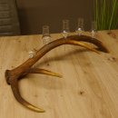 Schnapsanbieter 5x kleine Gläser Steckglas mit Stiel...