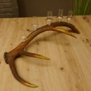 Schnapsanbieter 5x kleine Gläser Steckglas mit Stiel auf Rothirschstange Edelweiss Verzierung 27.60.2.50