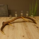 Schnapsanbieter 5x kleine Gläser Steckglas mit Stiel auf Rothirschstange Edelweiss Verzierung 27.60.2.50