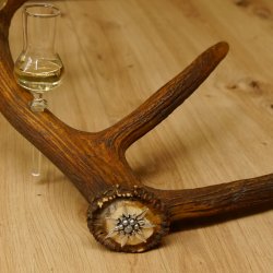 Schnapsanbieter 5x kleine Gläser Steckglas mit Stiel auf Rothirschstange Edelweiss Verzierung 27.60.2.50