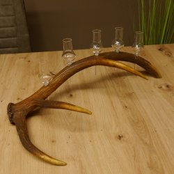 Schnapsanbieter 5x kleine Gläser Steckglas mit Stiel auf Rothirschstange Edelweiss Verzierung 27.60.2.50