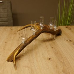 Schnapsanbieter 5x kleine Gläser Steckglas mit Stiel auf Rothirschstange Edelweiss Verzierung 27.60.2.50