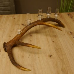 Schnapsanbieter 5x kleine Gläser Steckglas mit Stiel auf Rothirschstange Edelweiss Verzierung 27.60.2.50
