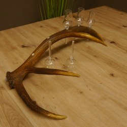 Schnapsanbieter 5x kleine Gläser Steckglas mit Stiel auf Rothirschstange Edelweiss Verzierung 27.60.2.50