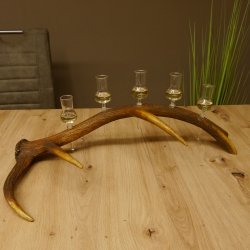 Schnapsanbieter 5x kleine Gläser Steckglas mit Stiel auf Rothirschstange Edelweiss Verzierung 27.60.2.50