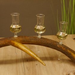 Schnapsanbieter 5x kleine Gläser Steckglas mit Stiel auf Rothirschstange Edelweiss Verzierung 27.60.2.50