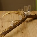Schnapsanbieter 4x kleine Gläser Steckglas mit Stiel auf Rothirschstange Geschenk 27.60.2.51
