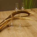 Schnapsanbieter 4x kleine Gläser Steckglas mit Stiel auf Rothirschstange Geschenk 27.60.2.51