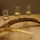 Schnapsanbieter 4x kleine Gläser Steckglas mit Stiel auf Rothirschstange Geschenk 27.60.2.51
