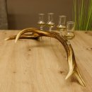 Schnapsanbieter 4x kleine Gläser Steckglas mit Stiel auf Rothirschstange Geschenk 27.60.2.51