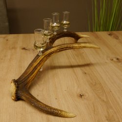 Schnapsanbieter 4x kleine Gläser Steckglas mit Stiel auf Rothirschstange Geschenk 27.60.2.51