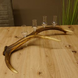 Schnapsanbieter 4x kleine Gläser Steckglas mit Stiel auf Rothirschstange Geschenk 27.60.2.51