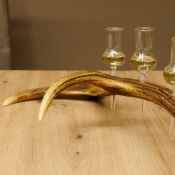 Schnapsanbieter 4x kleine Gläser Steckglas mit Stiel auf Rothirschstange Geschenk 27.60.2.51