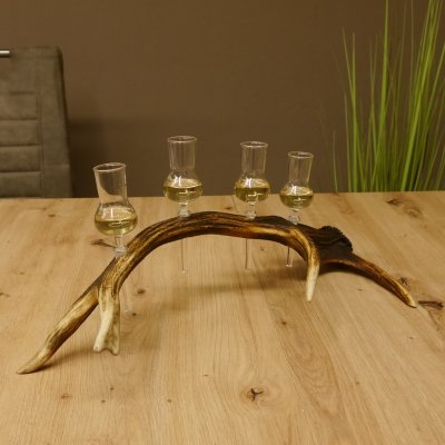 Schnapsanbieter 4x kleine Gläser Steckglas mit Stiel auf Rothirschstange Geschenk 27.60.2.52