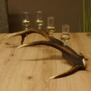 Schnapsanbieter 4x kleine Gläser Steckglas mit Stiel auf Rothirschstange Geschenk 27.60.2.52