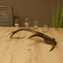 Schnapsanbieter 4x kleine Gläser Steckglas mit Stiel auf Rothirschstange Geschenk 27.60.2.52